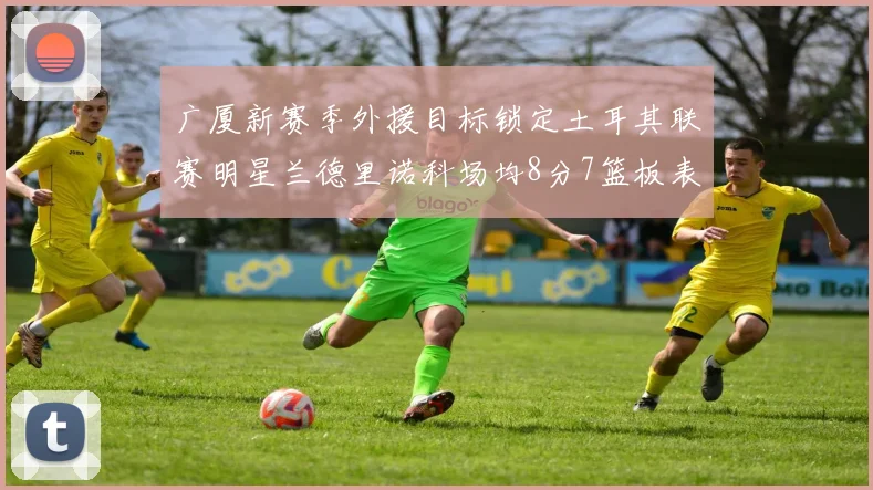 广厦新赛季外援目标锁定土耳其联赛明星兰德里诺科场均8分7篮板表现
